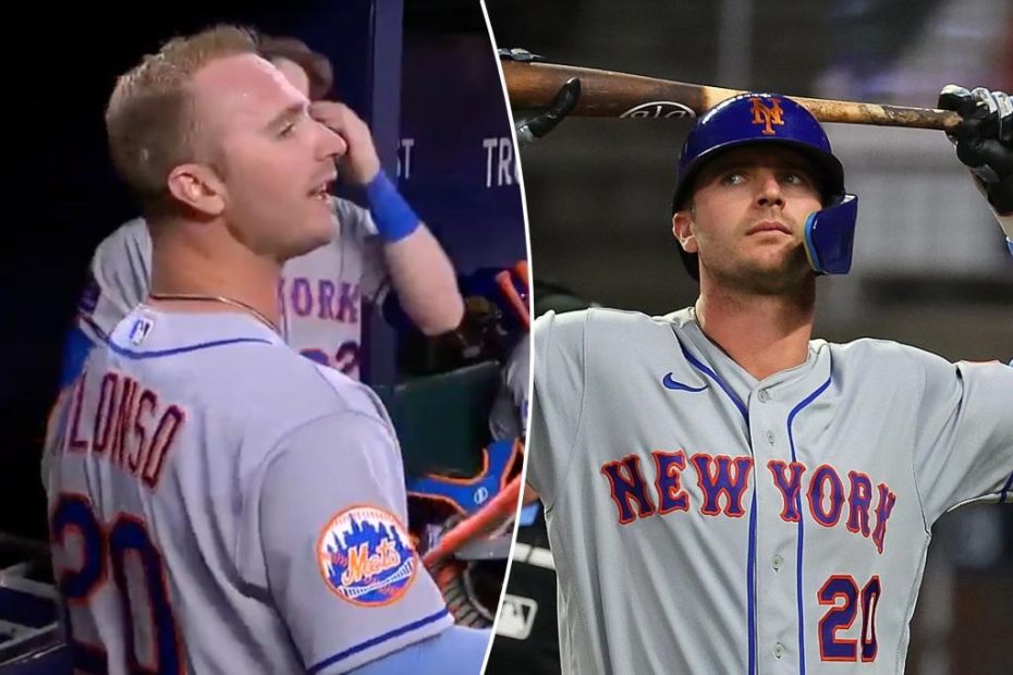 Braves troll Mets' Pete Alonso after 'throw it again' taunt