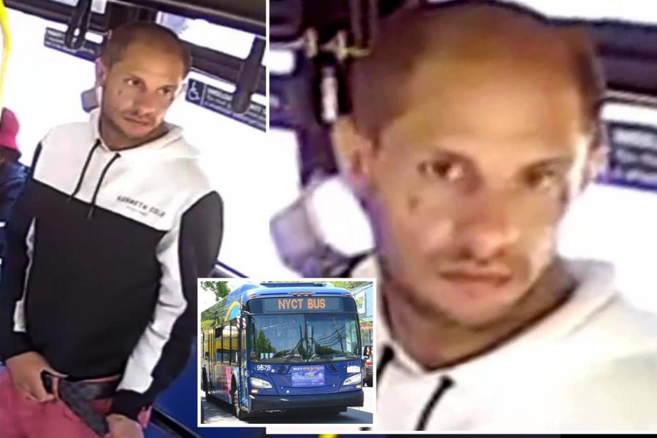 NYC perv fondles 16-year-old girl, offers her ring on bus