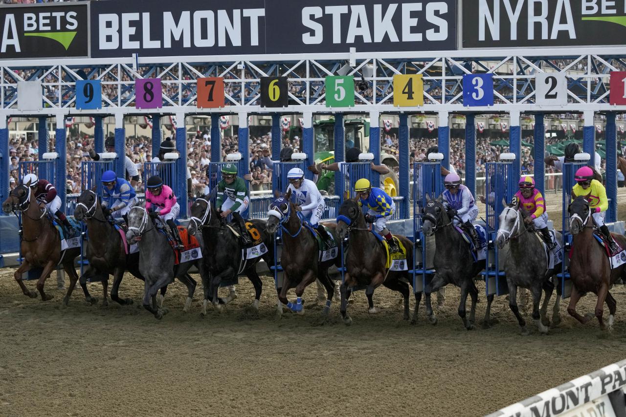 Horse dies due to injury in final race after Belmont Stakes