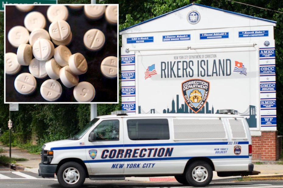 Tyaisha Beshawna Rogers caught trying to smuggle $15K worth of oxycodone into Rikers Island: officials