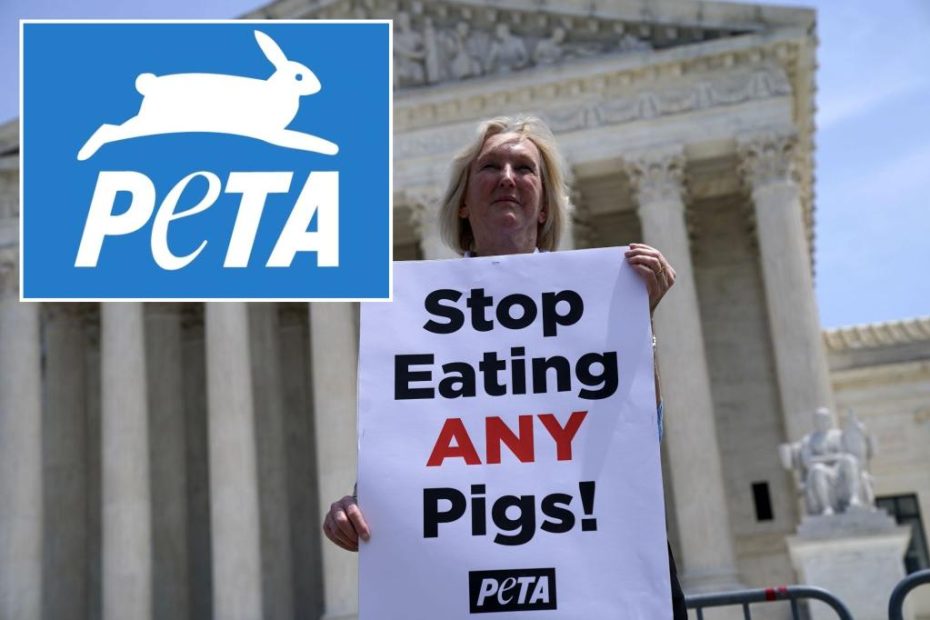 PETA president explains why she wants her flesh after death to be used in a human BBQ