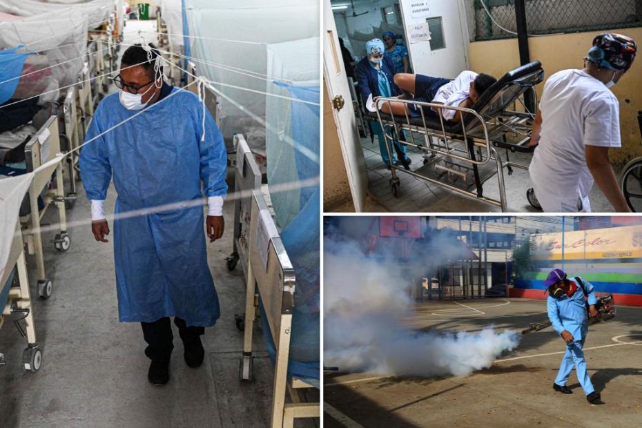 Dengue outbreak in Peru reaches 200K cases, 200 dead