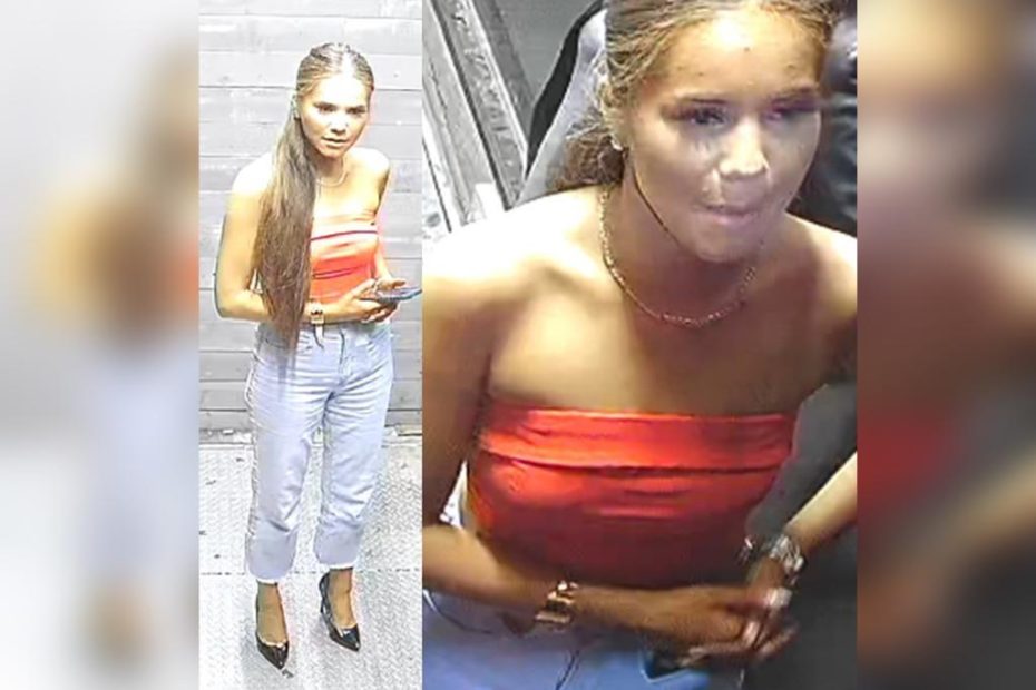 NYPD on the hunt for stylish suspect that whacked woman with high heel near Union Square