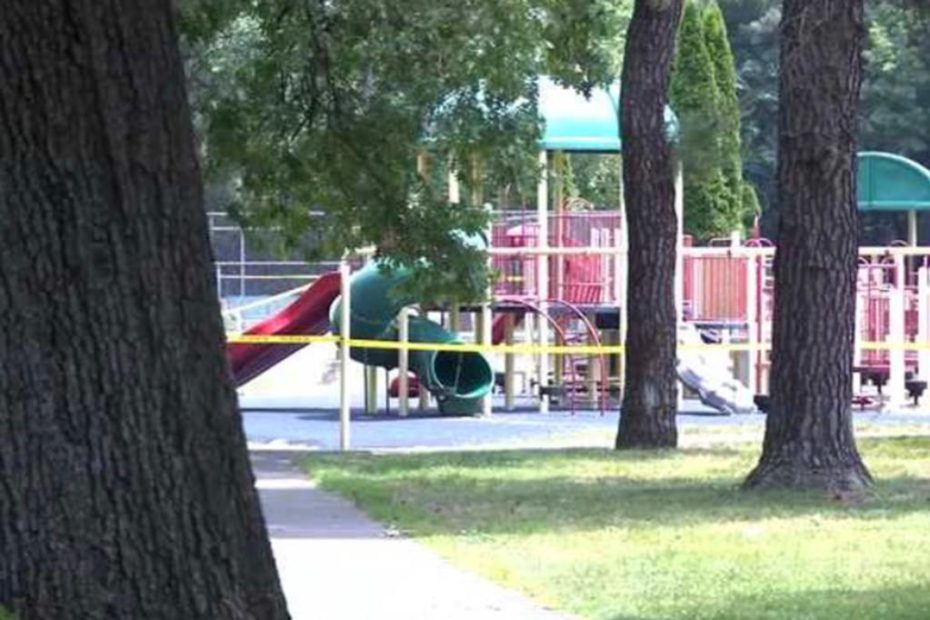 Playground slides doused with acid, 2 children burned