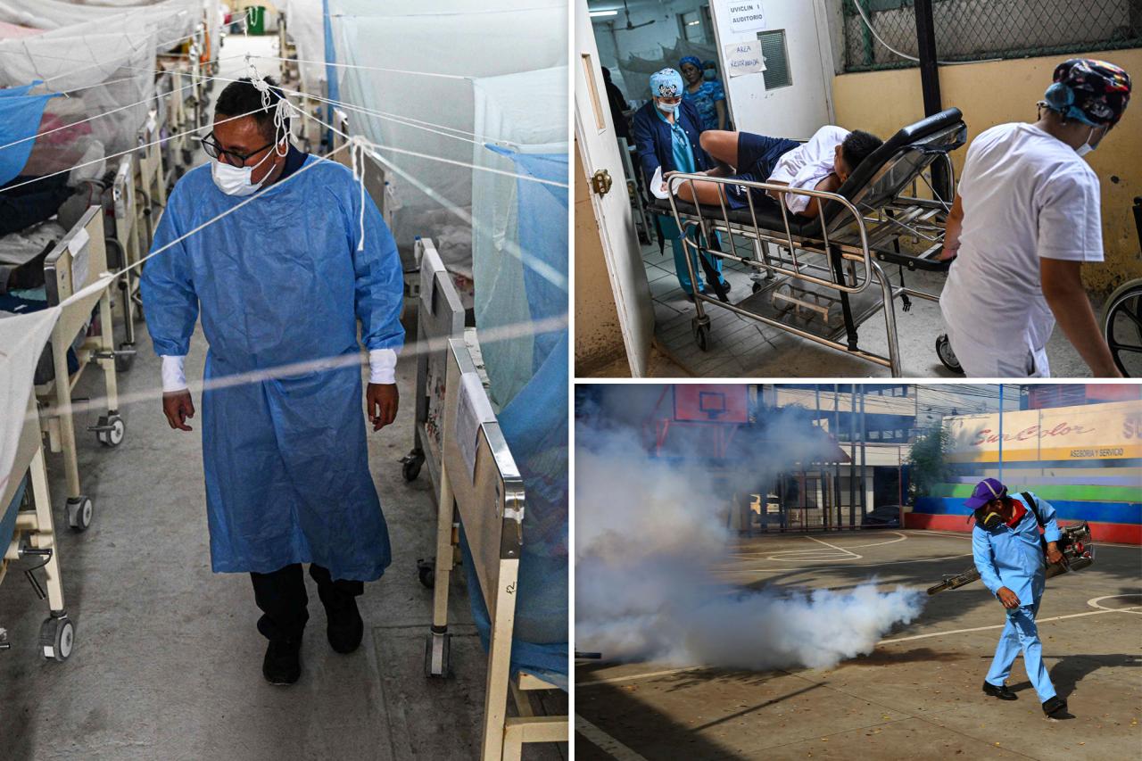 Dengue outbreak in Peru reaches 200K cases, 200 dead