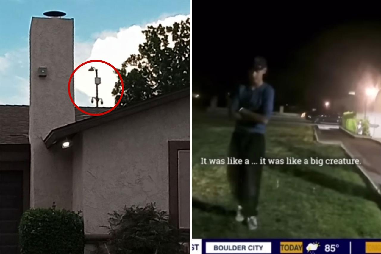 Police put up surveillance cameras at house where 'aliens landed'