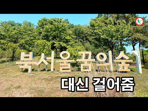 [4K] 서울 강북구 가볼만한곳, 북서울꿈의숲 공원에서 힐링하기